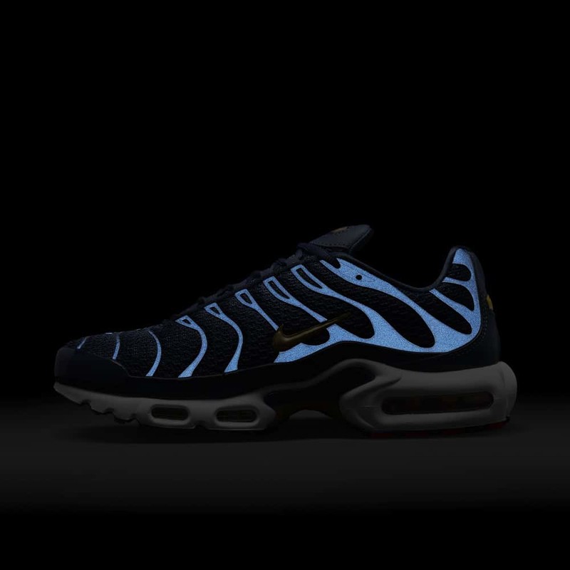 Nike Air Max Plus FFF FB3350 400 Grailify